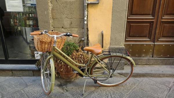 Lucca - The City of Towers and Walls - Galleries (4 / 12)